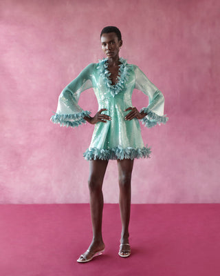 Frenzy Dress