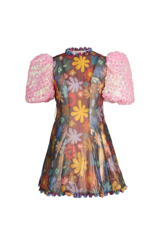 Hará Dress - CELIA B